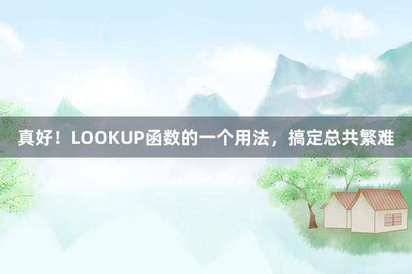 真好！LOOKUP函数的一个用法，搞定总共繁难