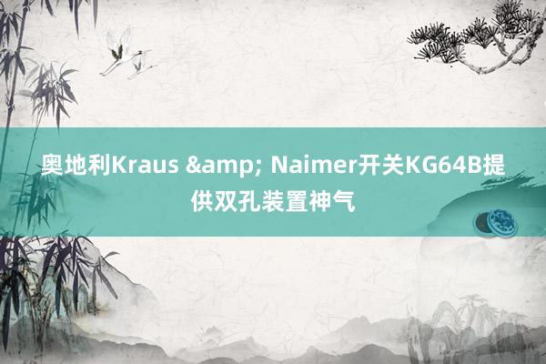 奥地利Kraus & Naimer开关KG64B提供双孔装置神气