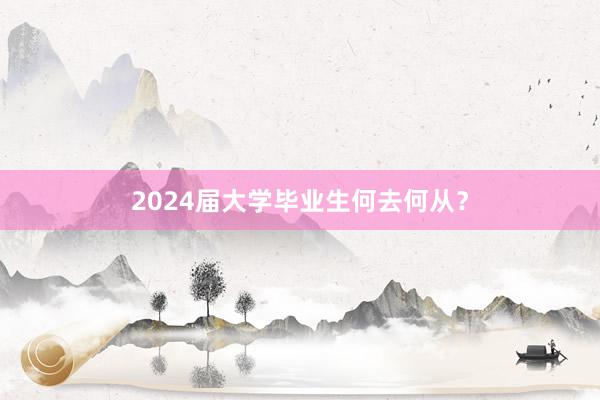 2024届大学毕业生何去何从？