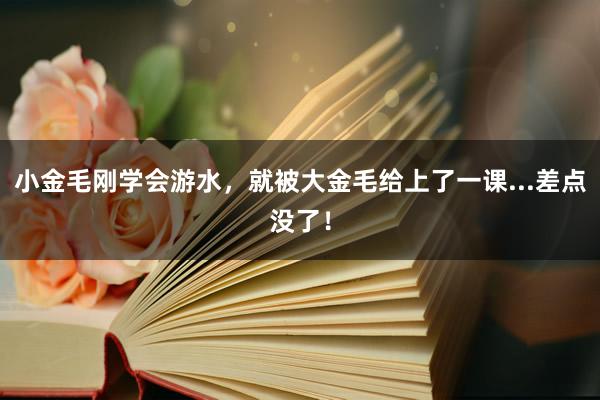 小金毛刚学会游水，就被大金毛给上了一课...差点没了！