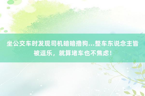 坐公交车时发现司机暗暗撸狗...整车东说念主皆被逗乐，就算堵车也不焦虑！