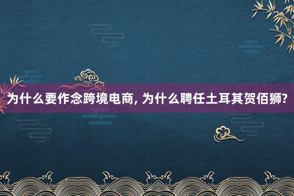 为什么要作念跨境电商, 为什么聘任土耳其贺佰狮?